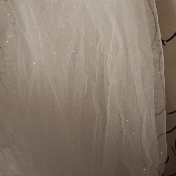 Off-white Glittery Cathedral Length Wedding Veil New - Picture 2 of 3